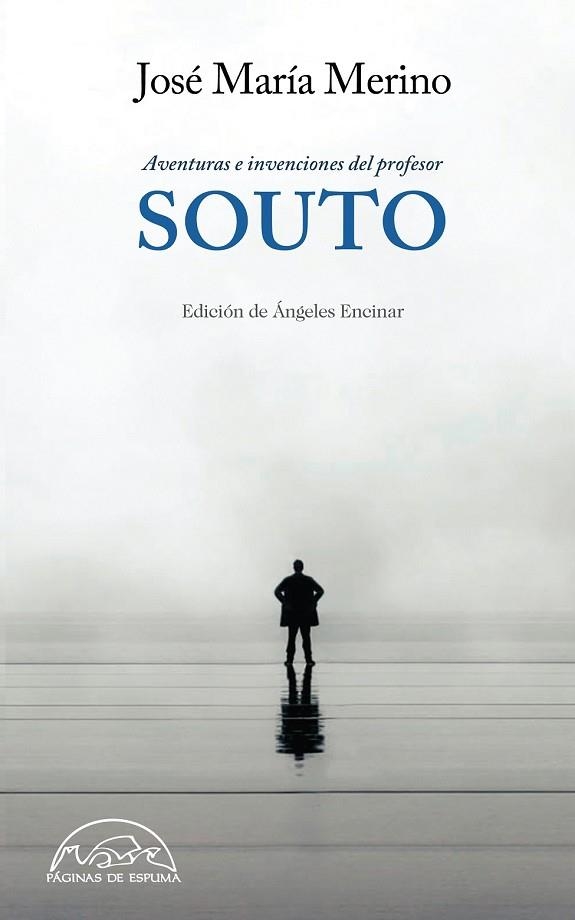 AVENTURAS E INVENCIONES DEL PROFESOR SOUTO | 9788483932223 | MERINO, JOSÉ MARÍA | Llibreria Drac - Librería de Olot | Comprar libros en catalán y castellano online