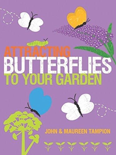 ATTRACTING BUTTERFLIES TO YOUR GARDEN | 9781861088567 | Llibreria Drac - Llibreria d'Olot | Comprar llibres en català i castellà online