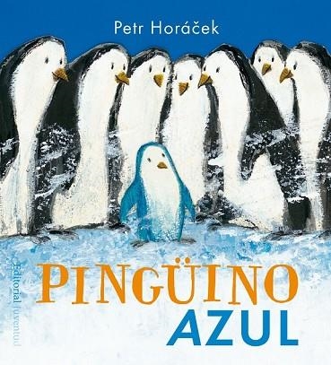 PINGÜINO AZUL | 9788426142351 | HORÁCEK, PETR | Llibreria Drac - Llibreria d'Olot | Comprar llibres en català i castellà online