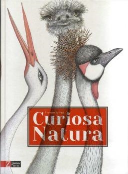 CURIOSA NATURA | 9788494713538 | GUIRAUD, FLORENCE | Llibreria Drac - Llibreria d'Olot | Comprar llibres en català i castellà online