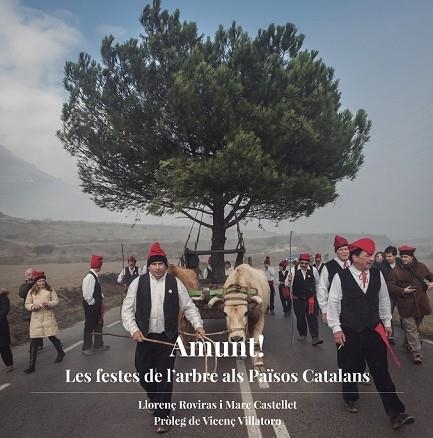 AMUNT: LES FESTES DE L'ARBRE ALS PAISOS CATALANS | 9788494748400 | ROVIRAS, LLORENÇ | Llibreria Drac - Llibreria d'Olot | Comprar llibres en català i castellà online