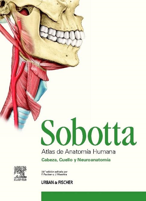 SOBOTTA. ATLAS DE ANATOMÍA HUMANA, 3 VOLS. + ACCESO ONLINE | 9788480868747 | SOBOTTA | Llibreria Drac - Llibreria d'Olot | Comprar llibres en català i castellà online