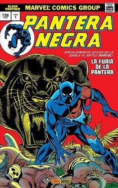 PANTERA NEGRA 1. LA FURIA DE LA PANTERA | 9788491672852 | KIRBY, JACK; BUCKLER, RICH; HANNIGAN, ED; MCGREGOR, DON | Llibreria Drac - Llibreria d'Olot | Comprar llibres en català i castellà online