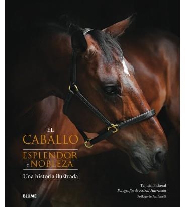 CABALLO, EL. ESPLENDOR Y NOBLEZA | 9788417254445 | PICKERAL, TASMIN; HARRISON,ASTRID | Llibreria Drac - Librería de Olot | Comprar libros en catalán y castellano online