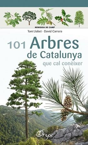 101 ARBRES DE CATALUNYA QUE CAL CONEIXER | 9788490346778 | LLOBET, TONI; CARRERA, DAVID | Llibreria Drac - Librería de Olot | Comprar libros en catalán y castellano online