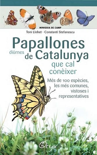 PAPALLONES DIÜRNES DE CATALUNYA QUE CAL CONEIXER | 9788490346754 | LLOBET, TONI; STEFANESCU, CONSTANTÍ | Llibreria Drac - Llibreria d'Olot | Comprar llibres en català i castellà online