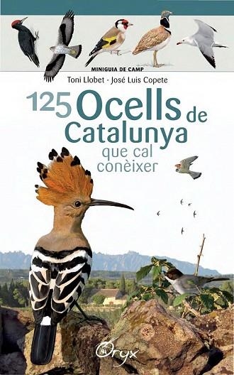 125 OCELLS DE CATALUNYA QUE CAL CONEIXER | 9788490346747 | LLOBET, TONI; COPETE, JOSÉ LUIS | Llibreria Drac - Librería de Olot | Comprar libros en catalán y castellano online