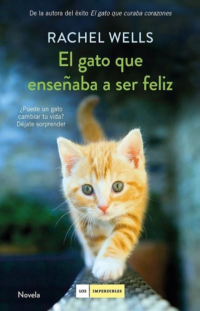 GATO QUE ENSEÑABA A SER FELIZ, EL | 9788417128197 | WELLS, RACHEL | Llibreria Drac - Llibreria d'Olot | Comprar llibres en català i castellà online