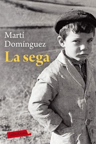 SEGA, LA | 9788417031701 | DOMÍNGUEZ, MARTÍ | Llibreria Drac - Llibreria d'Olot | Comprar llibres en català i castellà online