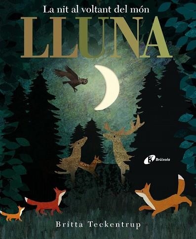 LLUNA | 9788499068497 | HEGARTY, PATRICIA | Llibreria Drac - Llibreria d'Olot | Comprar llibres en català i castellà online