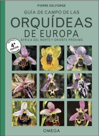 ORQUIDEAS DE EUROPA, NORTE DE AFRICA Y PROXIMO ORIENTE | 9788428216791 | DELFORGE, PIERRE | Llibreria Drac - Llibreria d'Olot | Comprar llibres en català i castellà online