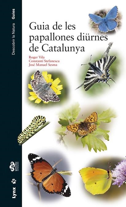 GUIA DE LES PAPALLONES DIÜRNES DE CATALUNYA | 9788416728060 | AA.DD. | Llibreria Drac - Librería de Olot | Comprar libros en catalán y castellano online