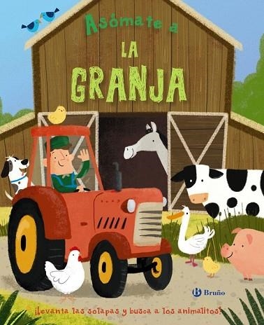 ASÓMATE A LA GRANJA | 9788469622834 | AA.DD. | Llibreria Drac - Llibreria d'Olot | Comprar llibres en català i castellà online