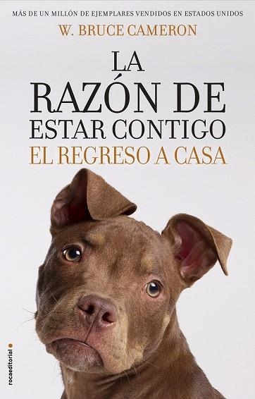 RAZÓN DE ESTAR CONTIGO, LA EL REGRESO A CASA | 9788417092887 | CAMERON, W. BRUCE | Llibreria Drac - Llibreria d'Olot | Comprar llibres en català i castellà online