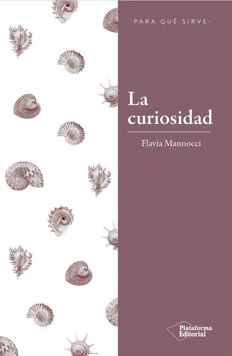 CURIOSIDAD, LA | 9788417376260 | MANNOCCI, FLAVIA | Llibreria Drac - Llibreria d'Olot | Comprar llibres en català i castellà online