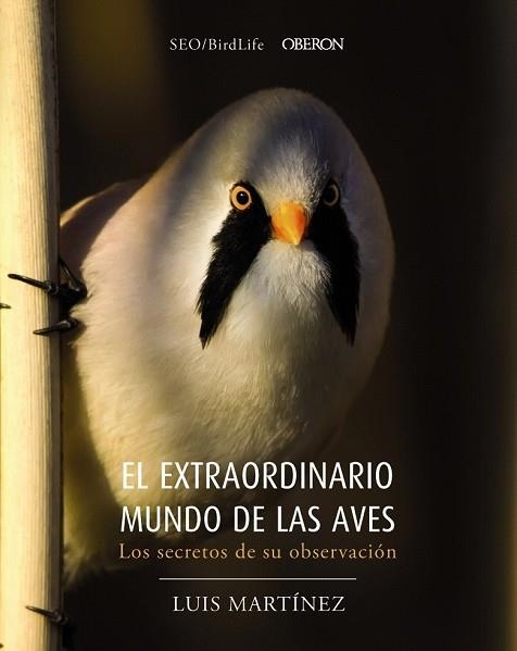 EXTRAORDINARIO MUNDO DE LAS AVES. LOS SECRETOS DE SU OBSERVACIÓN | 9788441540330 | Llibreria Drac - Llibreria d'Olot | Comprar llibres en català i castellà online