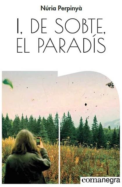 I, DE SOBTE, EL PARADÍS | 9788417188528 | PERPINYÀ, NÚRIA | Llibreria Drac - Librería de Olot | Comprar libros en catalán y castellano online