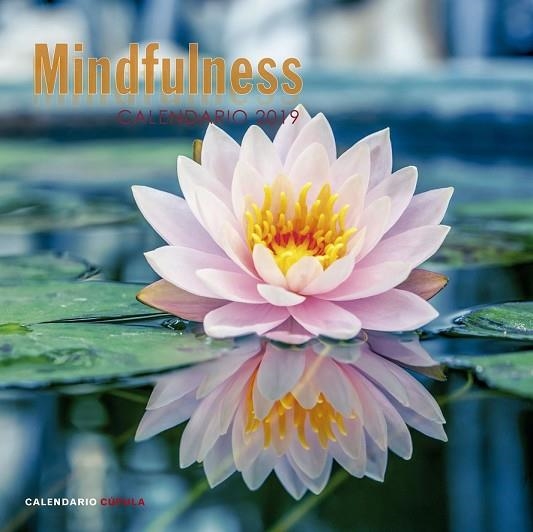 CALENDARI 2019 MINDFULNESS  | 9788448024598 | AA.DD. | Llibreria Drac - Llibreria d'Olot | Comprar llibres en català i castellà online