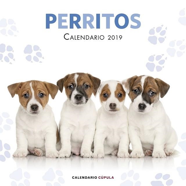 CALENDARI 2019 PERRITOS  | 9788448024642 | AA.DD. | Llibreria Drac - Llibreria d'Olot | Comprar llibres en català i castellà online