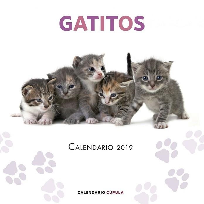 CALENDARI 2019 GATITOS  | 9788448024659 | AA.DD. | Llibreria Drac - Llibreria d'Olot | Comprar llibres en català i castellà online