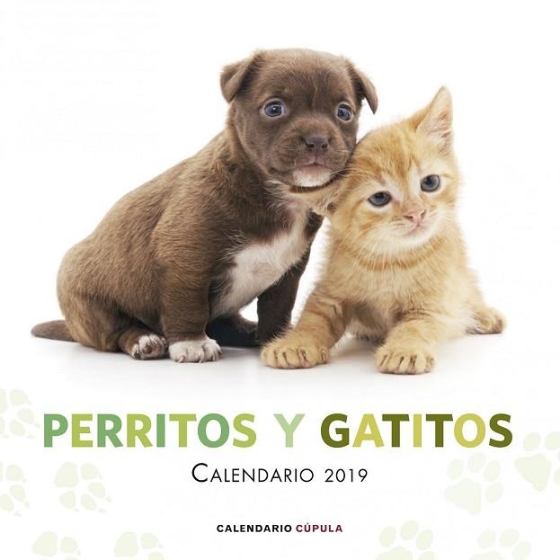 CALENDARI 2019 PERRITOS Y GATITOS  | 9788448024666 | AA.DD. | Llibreria Drac - Llibreria d'Olot | Comprar llibres en català i castellà online