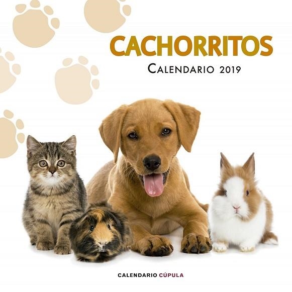 CALENDARI 2019 CACHORRITOS  | 9788448024673 | AA.DD. | Llibreria Drac - Llibreria d'Olot | Comprar llibres en català i castellà online