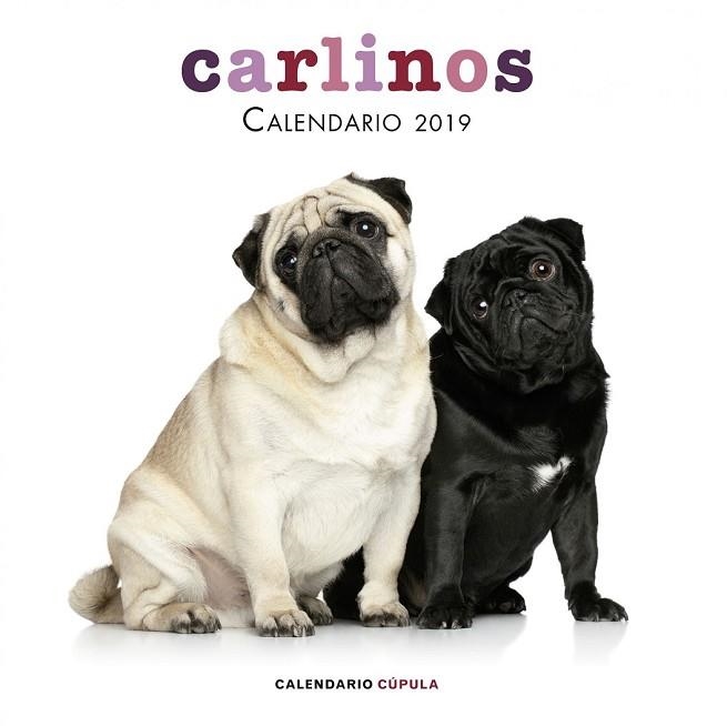 CALENDARI 2019 CARLINOS  | 9788448024680 | AA.DD. | Llibreria Drac - Llibreria d'Olot | Comprar llibres en català i castellà online