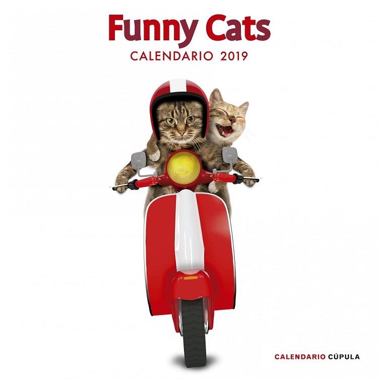 CALENDARI 2019 FUNNY CATS | 9788448024628 | AA.DD. | Llibreria Drac - Llibreria d'Olot | Comprar llibres en català i castellà online