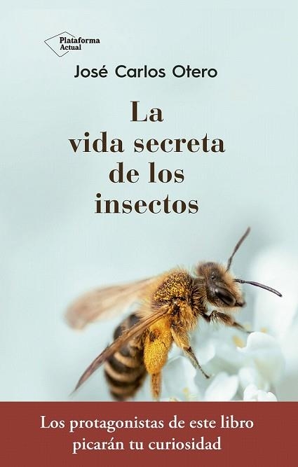 VIDA SECRETA DE LOS INSECTOS, LA | 9788417376789 | OTERO, JOSÉ CARLOS | Llibreria Drac - Llibreria d'Olot | Comprar llibres en català i castellà online