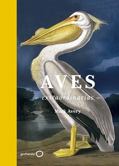 AVES EXTRAORDINARIAS | 9788408181477 | AVERY, MARK | Llibreria Drac - Librería de Olot | Comprar libros en catalán y castellano online