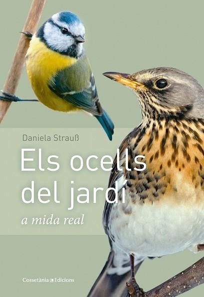 OCELLS DEL JARDÍ, ELS | 9788490347461 | STRAUB, DANIELA | Llibreria Drac - Llibreria d'Olot | Comprar llibres en català i castellà online