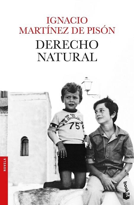 DERECHO NATURAL | 9788432234279 | MARTÍNEZ DE PISÓN, IGNACIO | Llibreria Drac - Librería de Olot | Comprar libros en catalán y castellano online