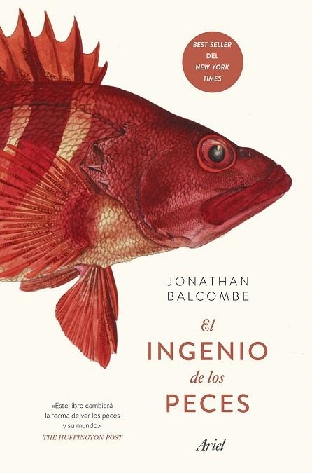 INGENIO DE LOS PECES, EL | 9788434429383 | BALCOMBE, JONATHAN | Llibreria Drac - Llibreria d'Olot | Comprar llibres en català i castellà online