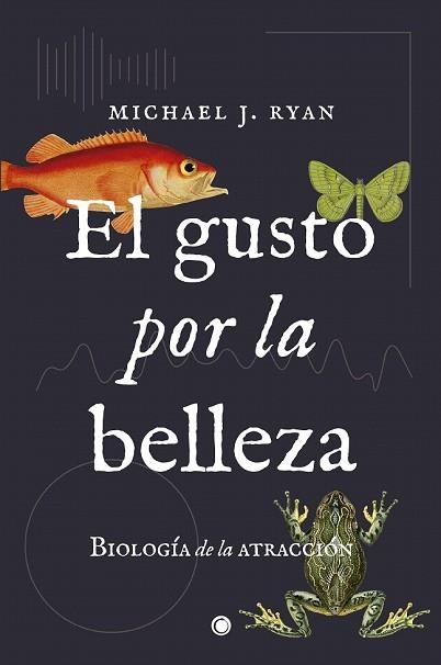 GUSTO POR LA BELLEZA, EL | 9788494886003 | RYAN, MICHAEL J. | Llibreria Drac - Llibreria d'Olot | Comprar llibres en català i castellà online