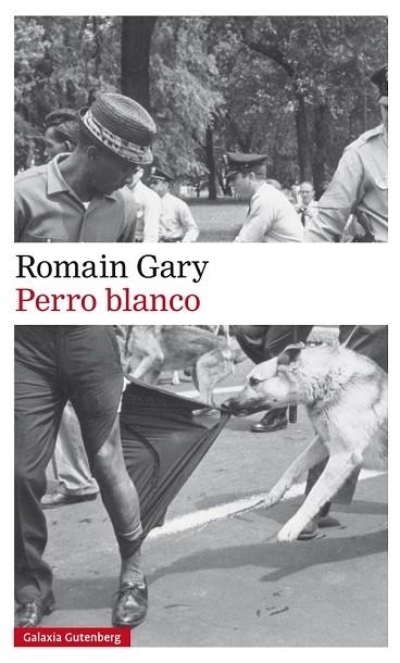 PERRO BLANCO | 9788417355586 | GARY, ROMAIN | Llibreria Drac - Llibreria d'Olot | Comprar llibres en català i castellà online