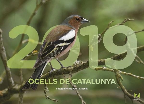 OCELLS DE CATALUNYA CALENDARI 2019 | 9788409035465 | Llibreria Drac - Llibreria d'Olot | Comprar llibres en català i castellà online