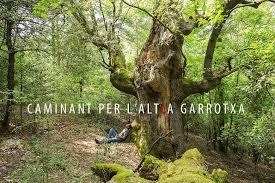 CAMINANT PER L'ALTRA GARROTXA | 9788480671606 | SERRA, ESTEVE | Llibreria Drac - Llibreria d'Olot | Comprar llibres en català i castellà online