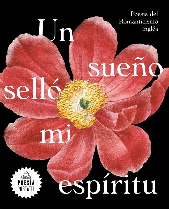 SUEÑO SELLO MI ESPIRITU, UN | 9788439735328 | AA.DD. | Llibreria Drac - Librería de Olot | Comprar libros en catalán y castellano online