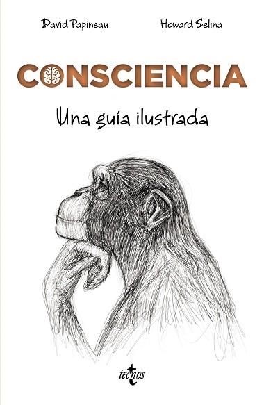 CONSCIENCIA | 9788430976072 | PAPINEAU, DAVID | Llibreria Drac - Llibreria d'Olot | Comprar llibres en català i castellà online