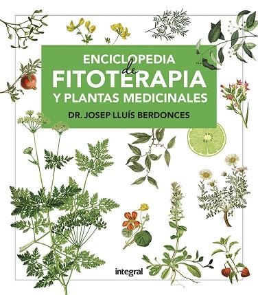 ENCICLOPEDIA DE FITOTERAPIA Y PLANTAS MEDICINALES | 9788491181194 | BERDONCES, JOSEP LLUÍS | Llibreria Drac - Llibreria d'Olot | Comprar llibres en català i castellà online