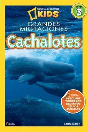 CACHALOTES GRANDES MIGRACIONES ( NIVEL 3) | 9788482985633 | MARSH , LAURA | Llibreria Drac - Librería de Olot | Comprar libros en catalán y castellano online