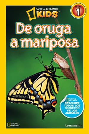 DE ORUGA A MARIPOSA | 9788482985619 | MARSH , LAURA | Llibreria Drac - Llibreria d'Olot | Comprar llibres en català i castellà online