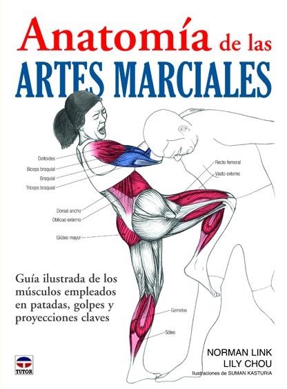 ANATOMÍA DE LAS ARTES MARCIALES | 9788479029111 | LINK, NORMAN/CHOU, LILY | Llibreria Drac - Llibreria d'Olot | Comprar llibres en català i castellà online