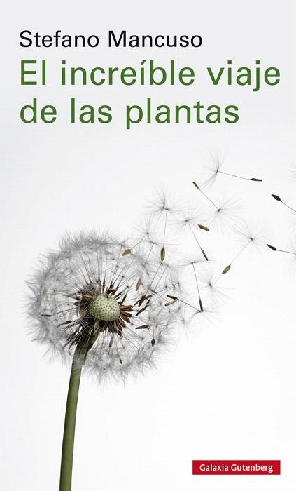 INCREIBLE VIAJE DE LAS PLANTAS, EL | 9788417747312 | MANCUSO, STEFANO | Llibreria Drac - Llibreria d'Olot | Comprar llibres en català i castellà online