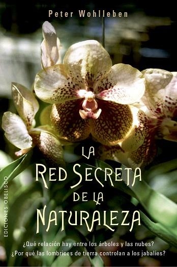 RED SECRETA DE LA NATURALEZA, LA | 9788491114192 | WOHLLEBEN, PETER | Llibreria Drac - Librería de Olot | Comprar libros en catalán y castellano online