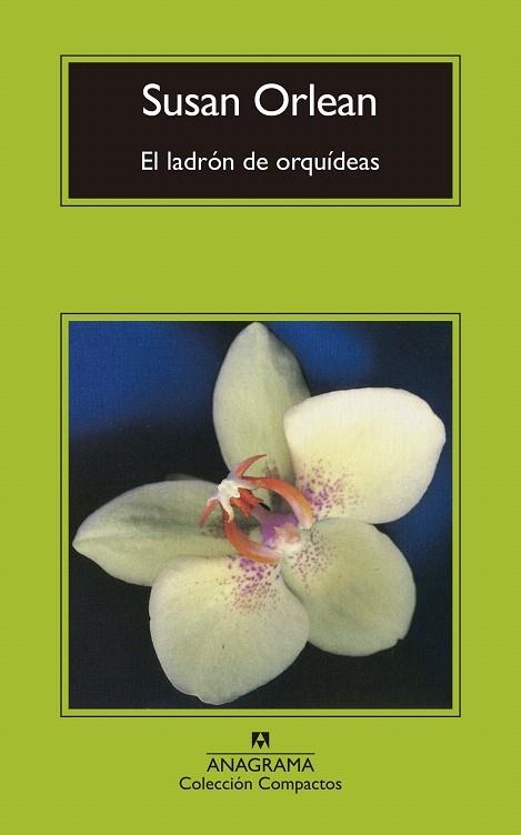 LADRÓN DE ORQUÍDEAS, EL | 9788433960429 | ORLEAN, SUSAN | Llibreria Drac - Llibreria d'Olot | Comprar llibres en català i castellà online