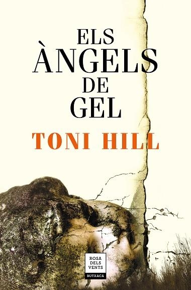 ÀNGELS DE GEL, ELS | 9788417444679 | HILL, TONI | Llibreria Drac - Llibreria d'Olot | Comprar llibres en català i castellà online