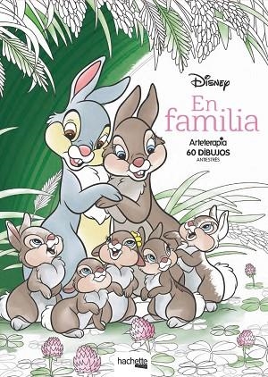 ARTETERAPIA. DISNEY EN FAMILIA | 9788417586058 | AA.DD. | Llibreria Drac - Llibreria d'Olot | Comprar llibres en català i castellà online