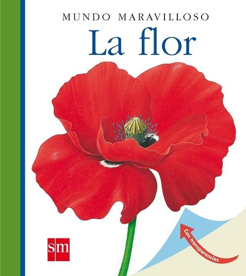 MUM. 5 LA FLOR(N) | 9788467531459 | METTLER, RENÉ | Llibreria Drac - Llibreria d'Olot | Comprar llibres en català i castellà online