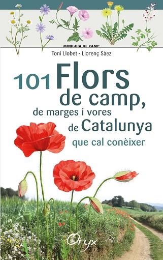 101 FLORS DE CAMP, DE MARGES I VORES DE CATALUNYA | 9788490348413 | LLOBET, TONI; SÀEZ GOÑALONS, LLORENÇ | Llibreria Drac - Llibreria d'Olot | Comprar llibres en català i castellà online